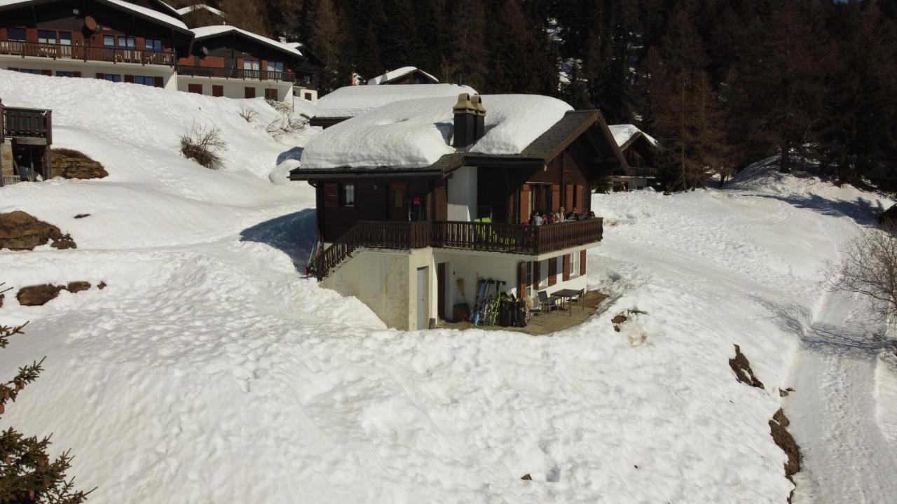 Chalet Foresta Bettmeralp Ngoại thất bức ảnh