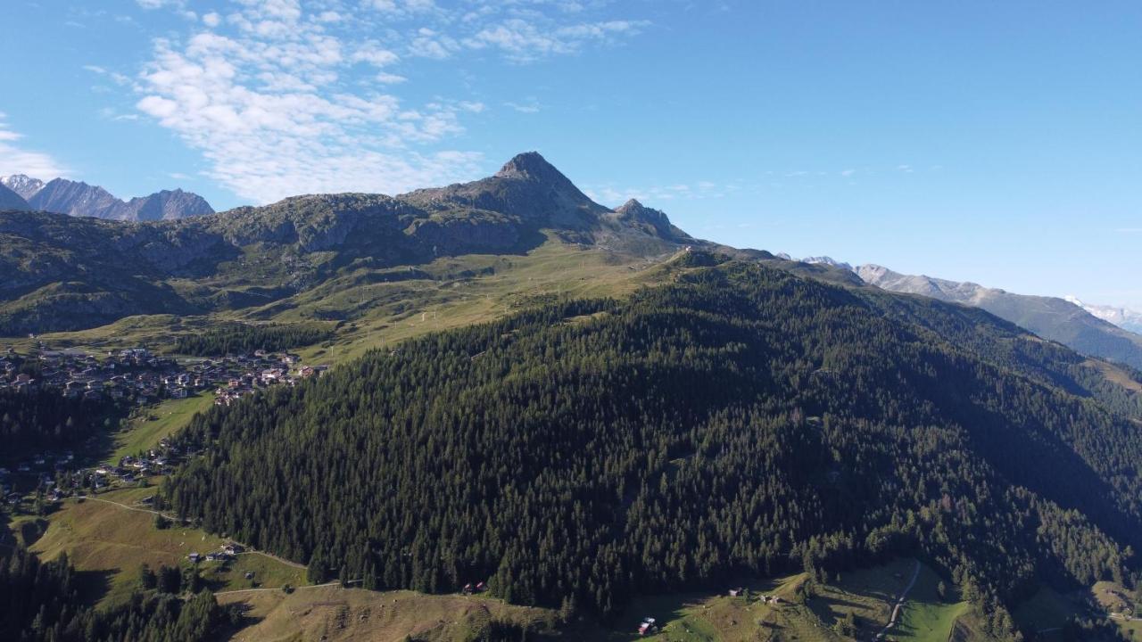 Chalet Foresta Bettmeralp Ngoại thất bức ảnh