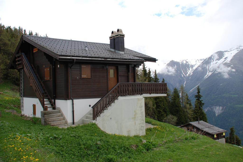 Chalet Foresta Bettmeralp Ngoại thất bức ảnh