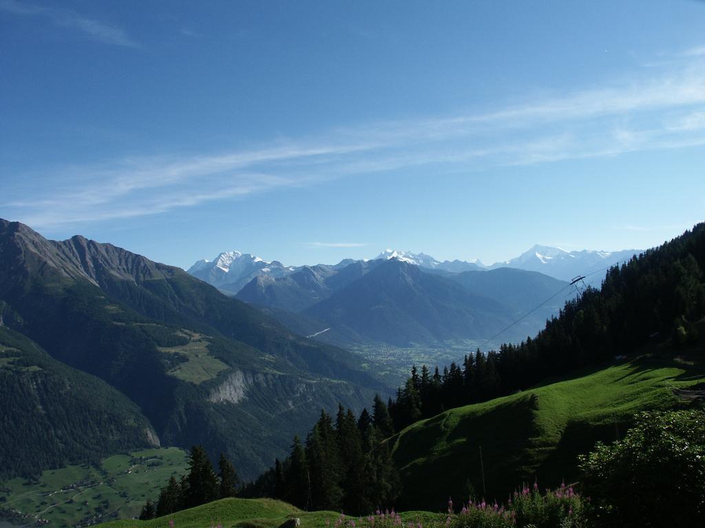 Chalet Foresta Bettmeralp Ngoại thất bức ảnh
