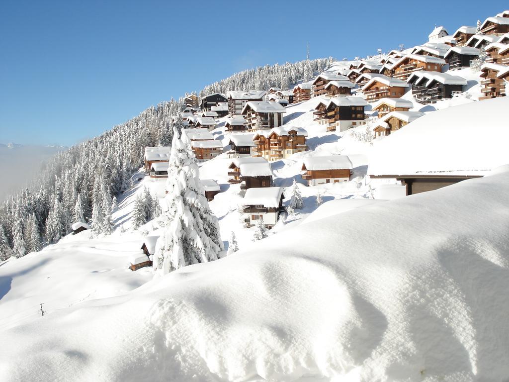 Chalet Foresta Bettmeralp Ngoại thất bức ảnh