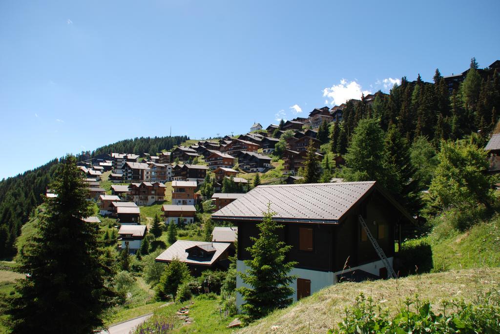 Chalet Foresta Bettmeralp Ngoại thất bức ảnh